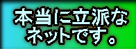 本当に立派な ネットです。