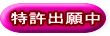 特許出願中 