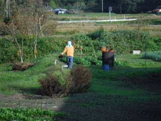 ���Ƃ��c�����i�@�䂪�Ђ̂����߂�