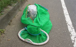 �J���X�l�b�g�@����@���o��