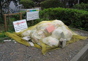 カラスネット　以前は黄色１