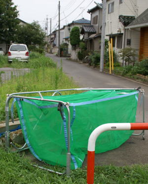 �J���X�΍�@��c�s�`