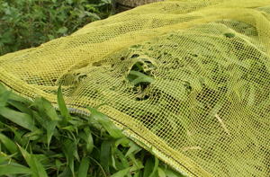 カラスネット　被害４