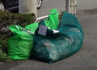 ���ʂ𒲂ׂ�������̂��݃l�b�g