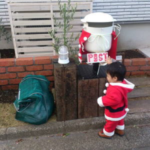 戸別回収用　カラスよけ　ネット