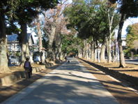 �J���X�̑��A�J���X�̐Q���A