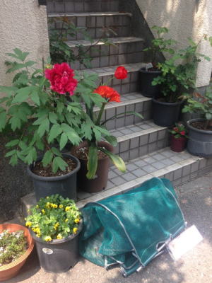 ３戸別回収実施例