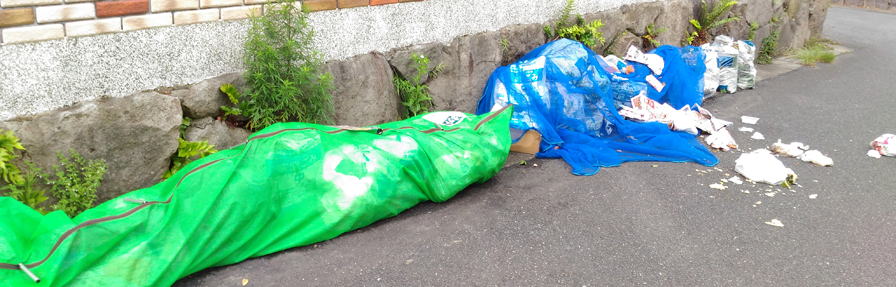 ���ʂ��Ⴄ�J���X�悯�S�~�l�b�g