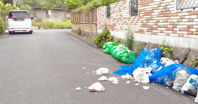 �J���X�̔�Q