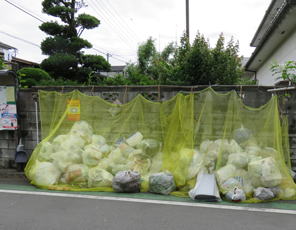 �S�~�u����i���j