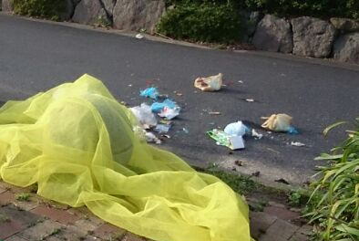 カラスよけ　失敗例