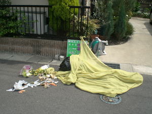 カラスネットの被害　２