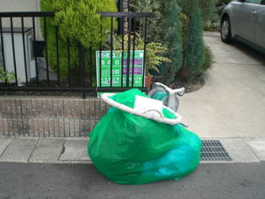 カラスネット　筒状リング型１