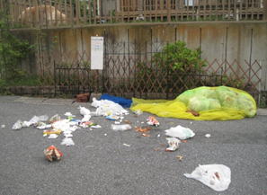 カラスネットの被害１